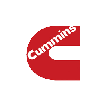 Cummins C300 D5